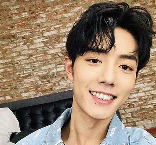 娱乐圈吃瓜全流程揭秘：从校长到断联，趣味与真相交织