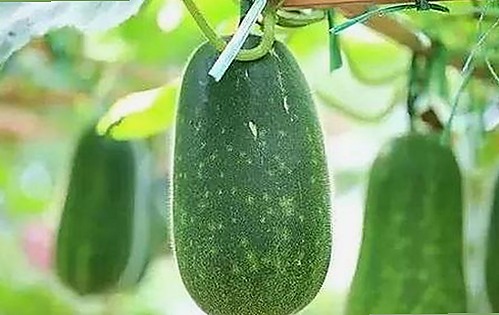 娱乐圈吃瓜主播揭秘：幕后故事与最新热点追踪